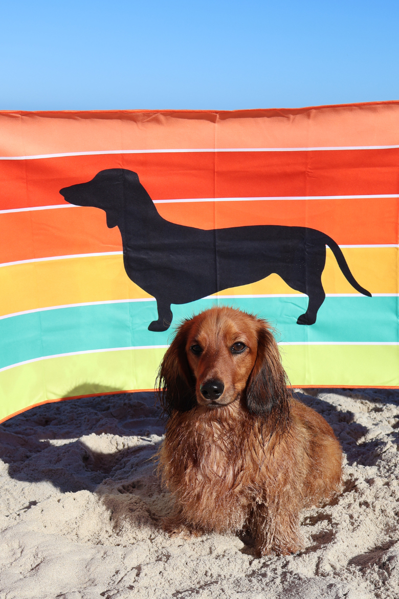 Dachs 'n' Dry Towel SECONDS