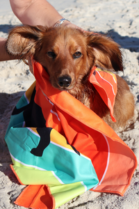 Dachs 'n' Dry Towel SECONDS