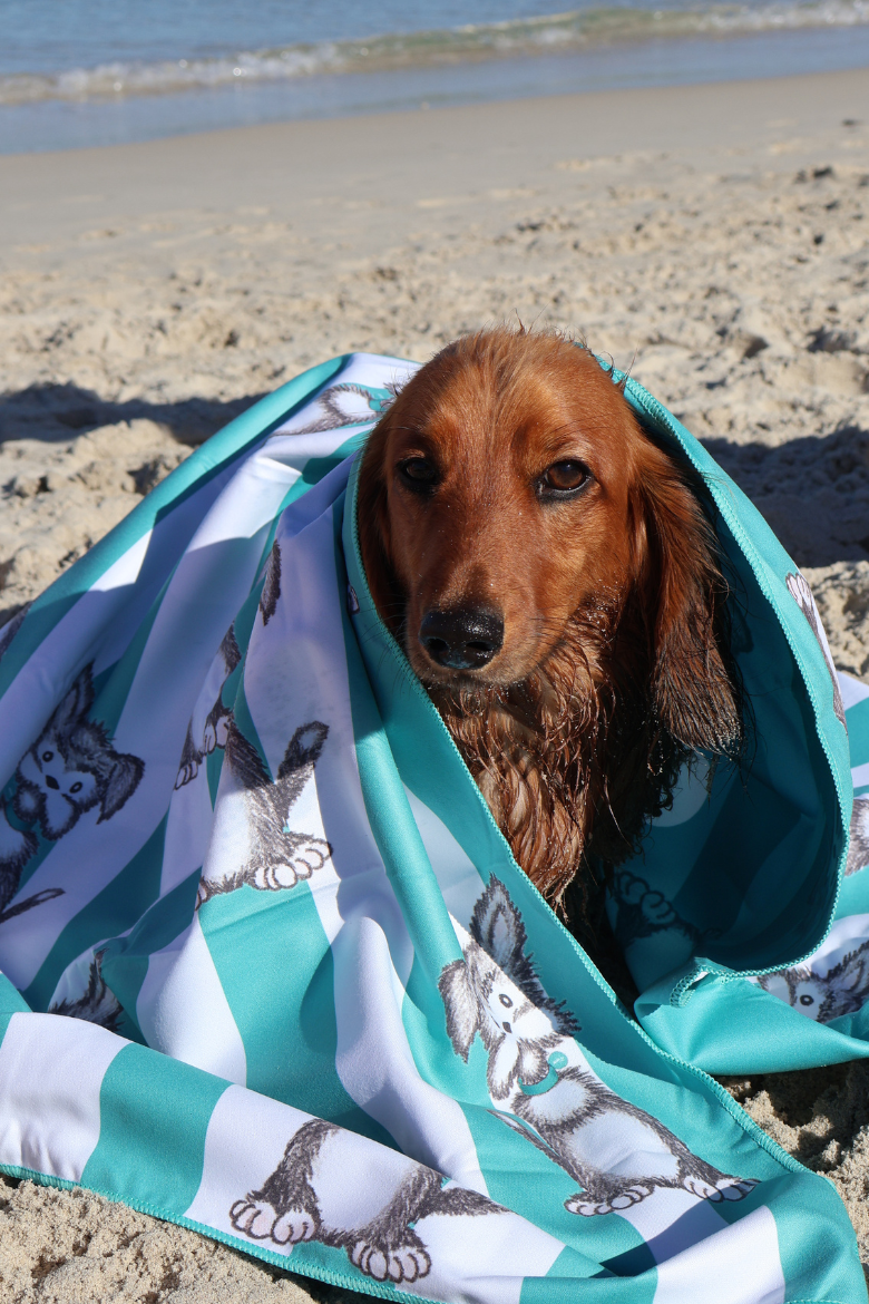 Buddy Towel